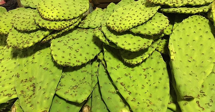 Yucatan 2017